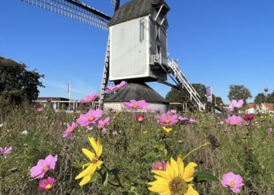 Sint Anthoniusmolen Kessel